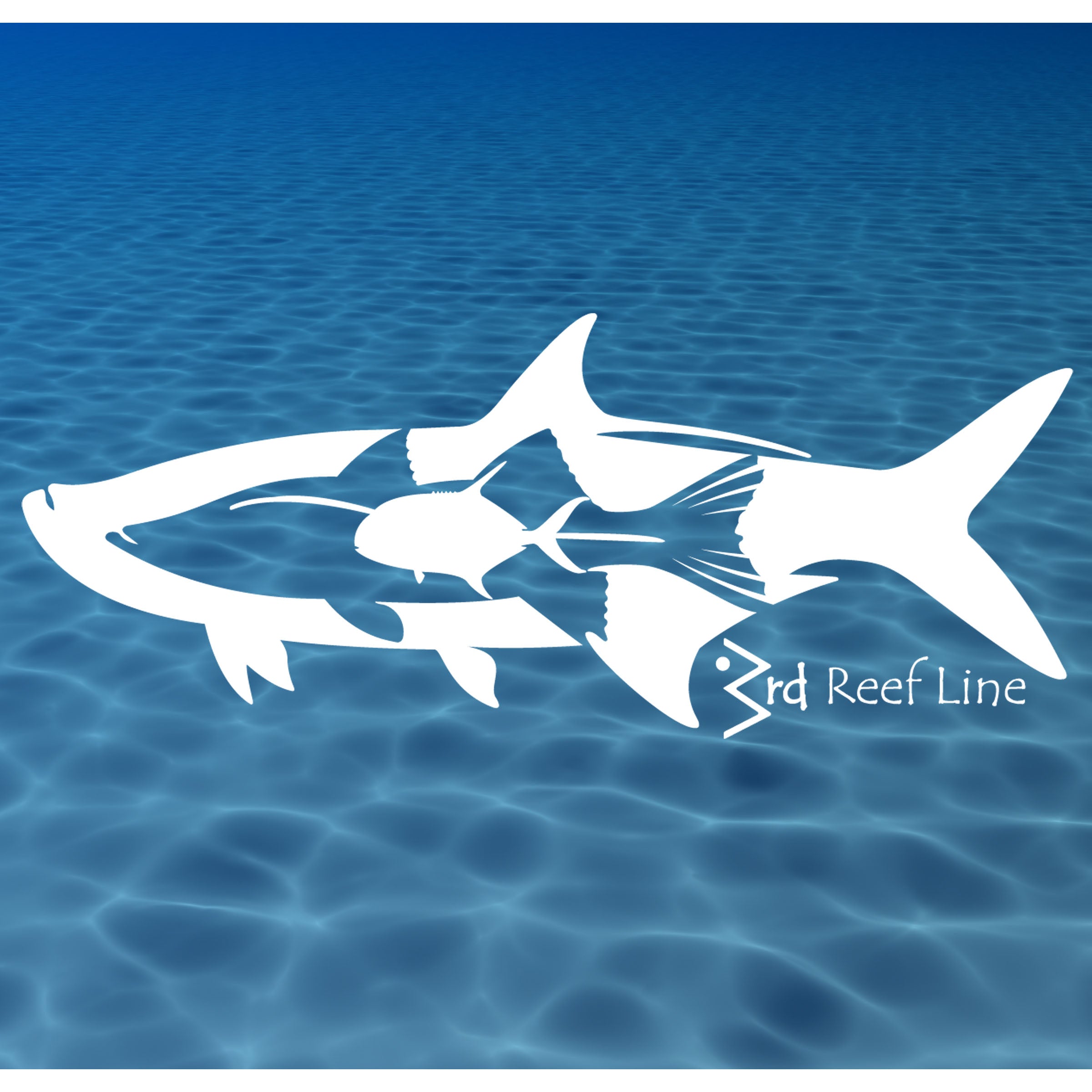 Reef Shark Decal